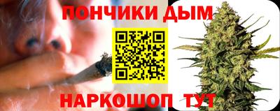 гашик Дубна