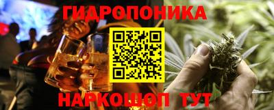 гашик Дубна
