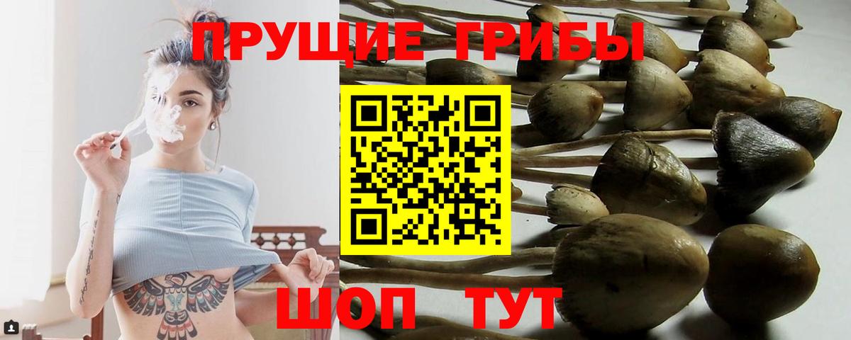 Людиново  Псилоцибиновые грибы ЛСД  Вход с VPN 